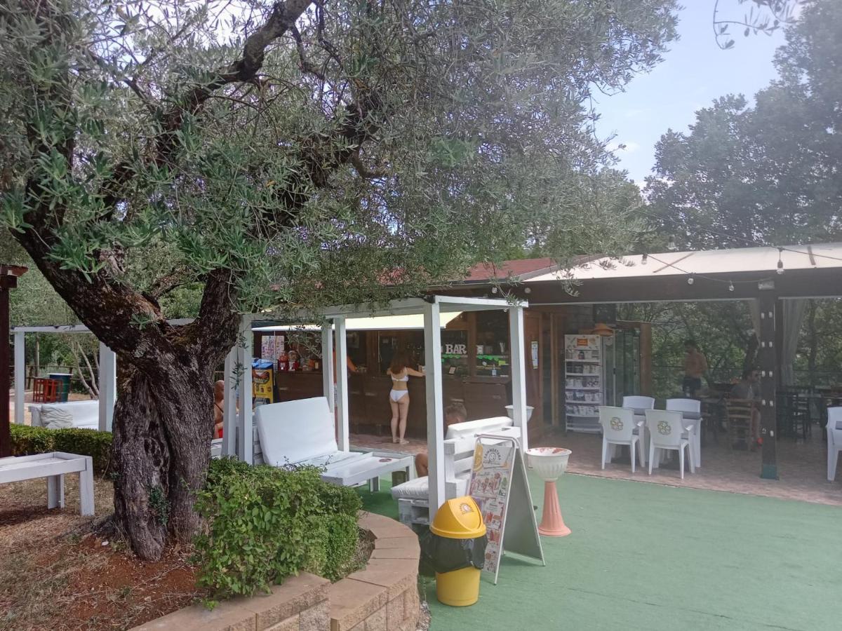 Glamping Il Boschetto Campeggio *